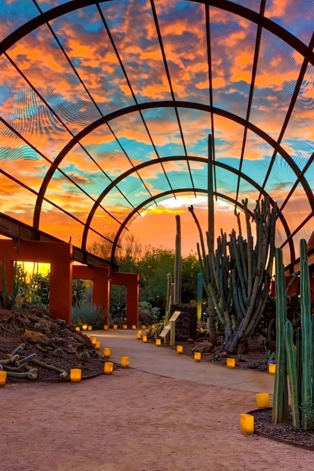 12 Best Things to Do in Phoenix Arizona for Every Type of Traveler