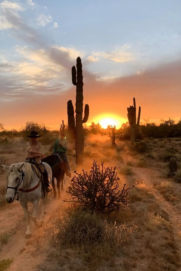 12 Best Things to Do in Phoenix Arizona for Every Type of Traveler