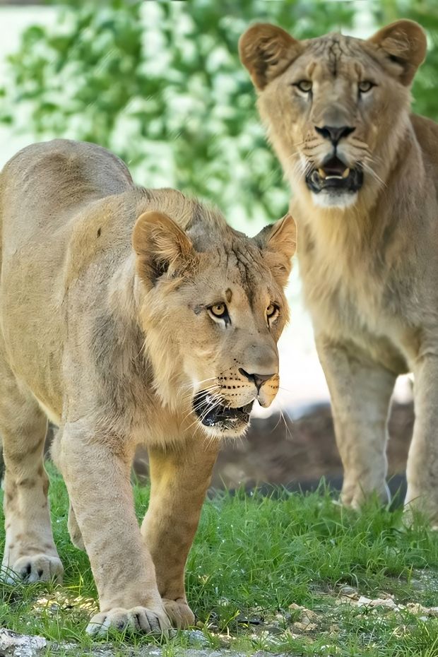 12 Best Things to Do in Phoenix Arizona for Every Type of Traveler