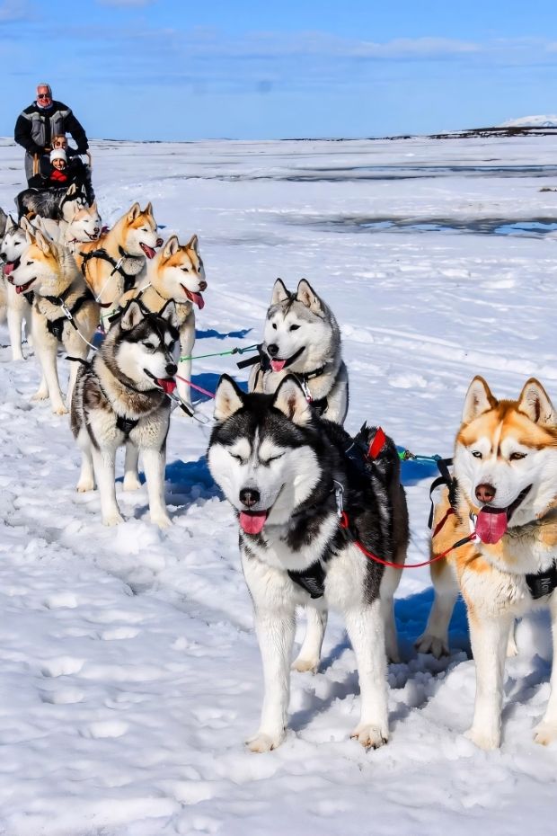 14 Incredible Things to Do in Iceland for the Ultimate Arctic Adventure