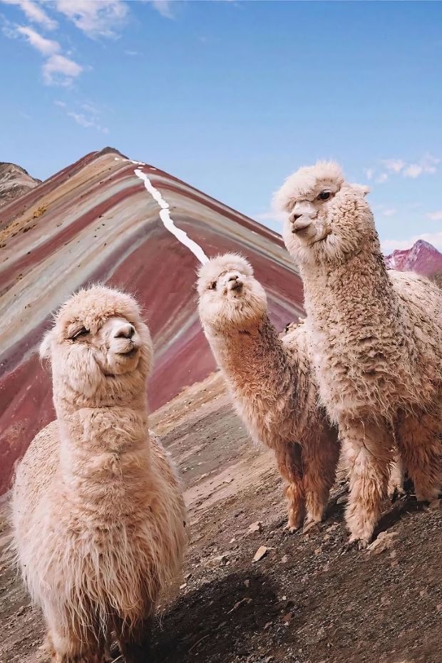 12 Incredible Things to Do in Cusco That Will Leave You Speechless