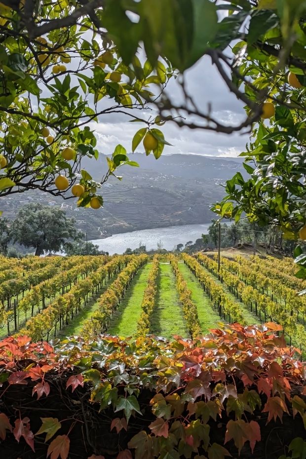 13 Most Beautiful Places in Portugal That Will Take Your Breath Away