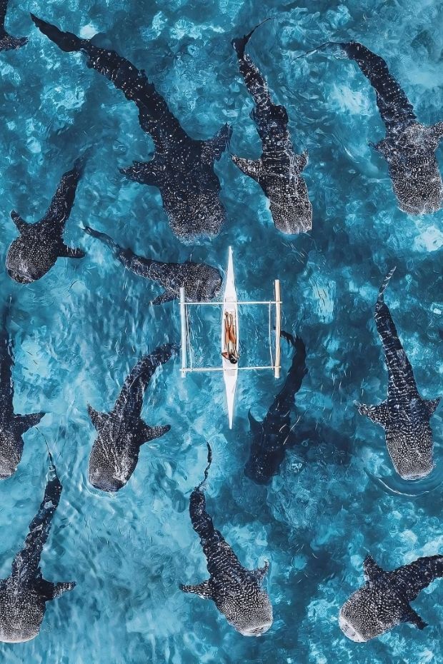 12 Real-Life Christmas Island Wonders That Rival Any Fantasy Destination