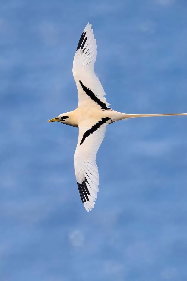 12 Real-Life Christmas Island Wonders That Rival Any Fantasy Destination