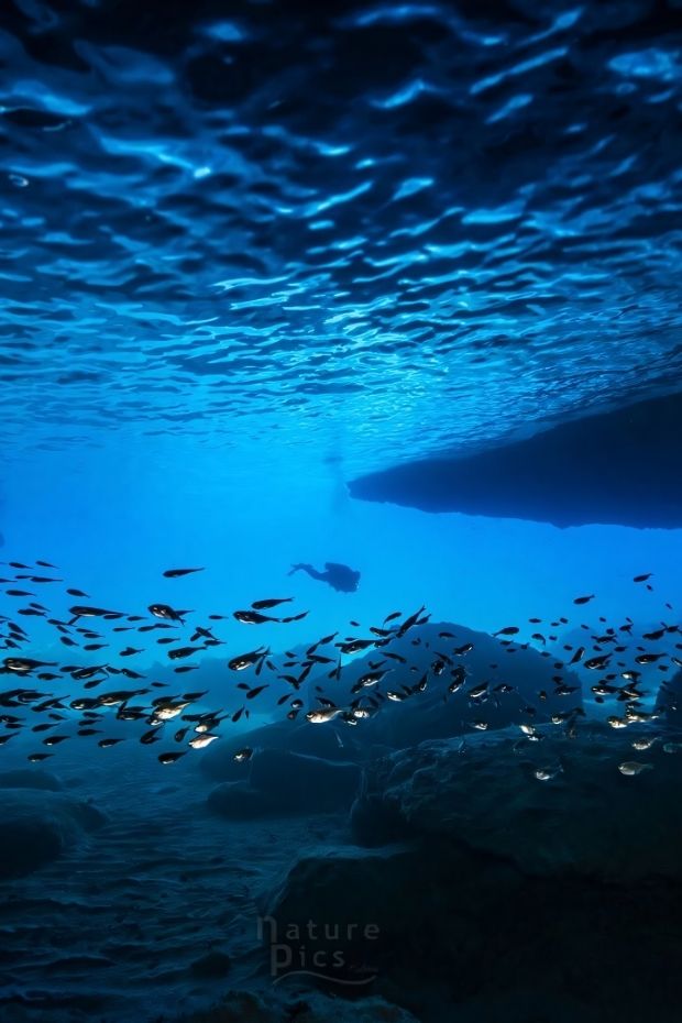 12 Stunning Reasons to Visit Curacao Island at Least Once in Your Life