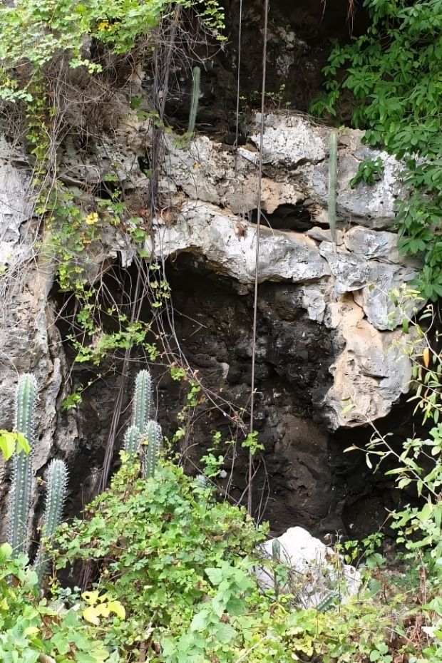 12 Stunning Reasons to Visit Curacao Island at Least Once in Your Life