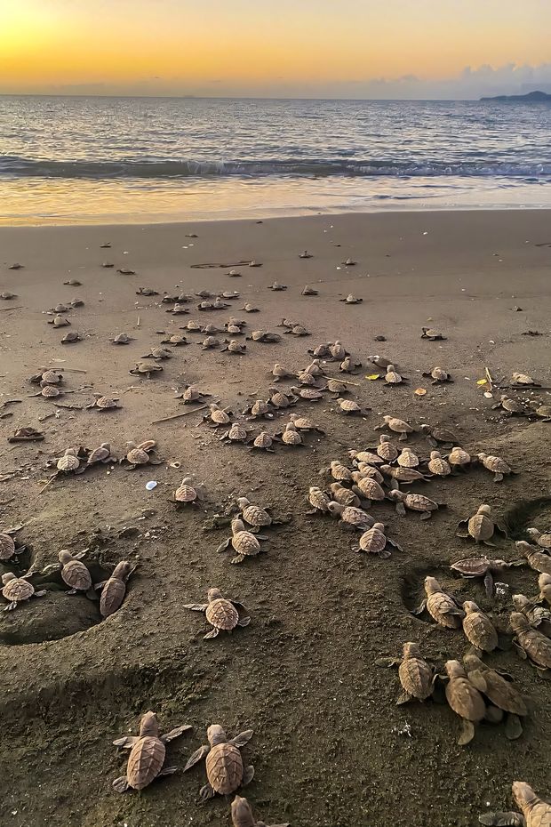 13 Adventurous Things to Do in Costa Rica for an Epic Eco-Travel Experience