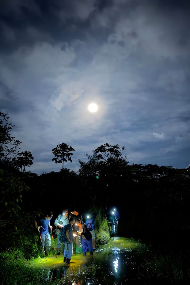 13 Adventurous Things to Do in Costa Rica for an Epic Eco-Travel Experience