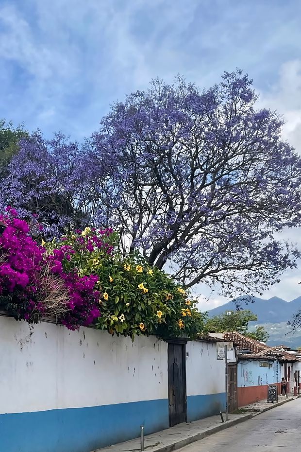 15 Amazing Things to Do in Mexico for an Incredible Cultural Getaway