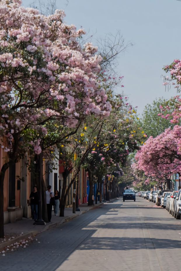 15 Amazing Things to Do in Mexico for an Incredible Cultural Getaway