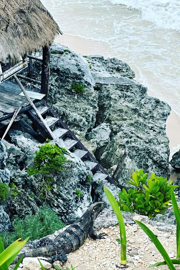 15 Amazing Things to Do in Mexico for an Incredible Cultural Getaway