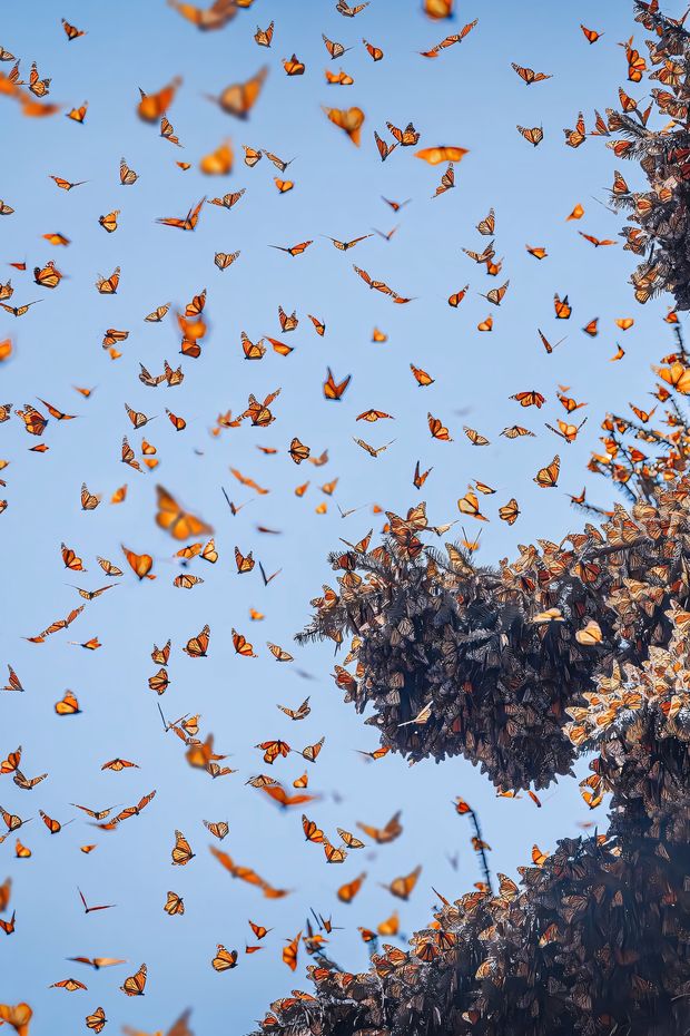 15 Amazing Things to Do in Mexico for an Incredible Cultural Getaway