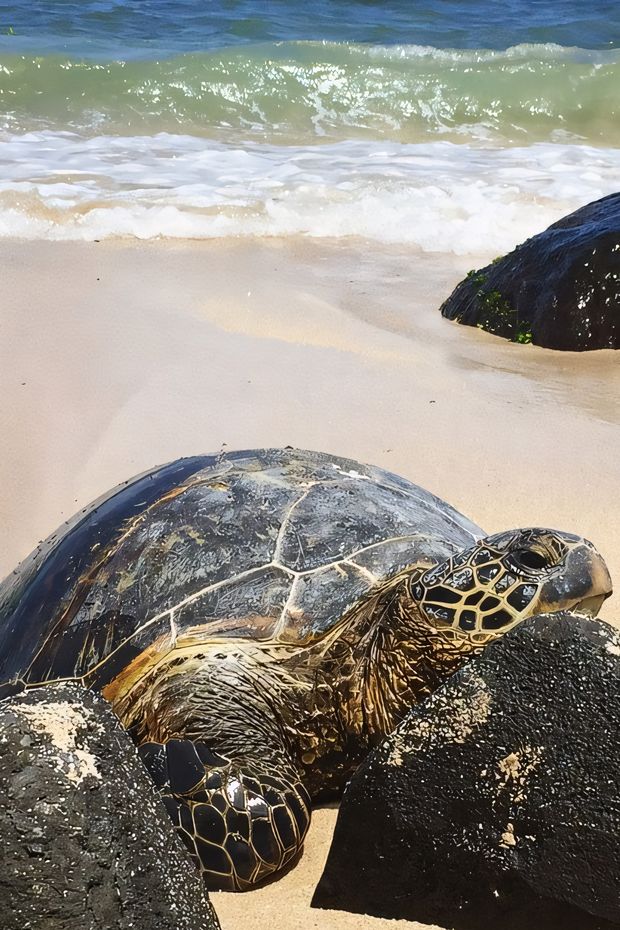 15 Breathtaking Things to Do in Hawaii for an Unforgettable Tropical Paradise Experience