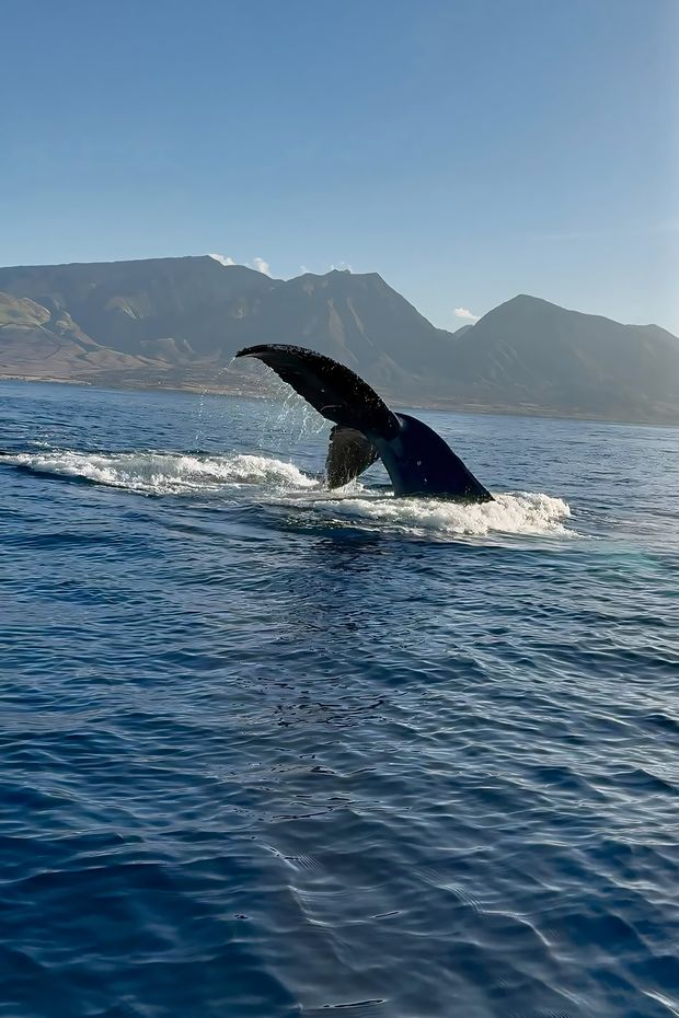 15 Breathtaking Things to Do in Hawaii for an Unforgettable Tropical Paradise Experience