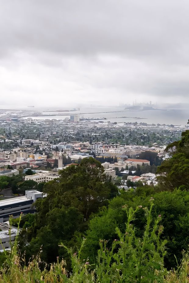 10 Cool Things to Do in Berkeley for a Fun California Weekend