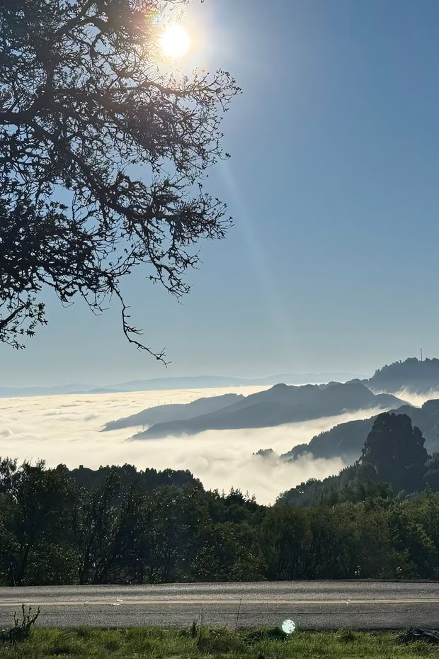 10 Cool Things to Do in Berkeley for a Fun California Weekend