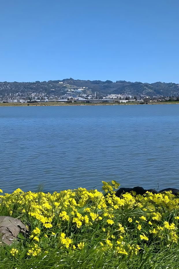 10 Cool Things to Do in Berkeley for a Fun California Weekend