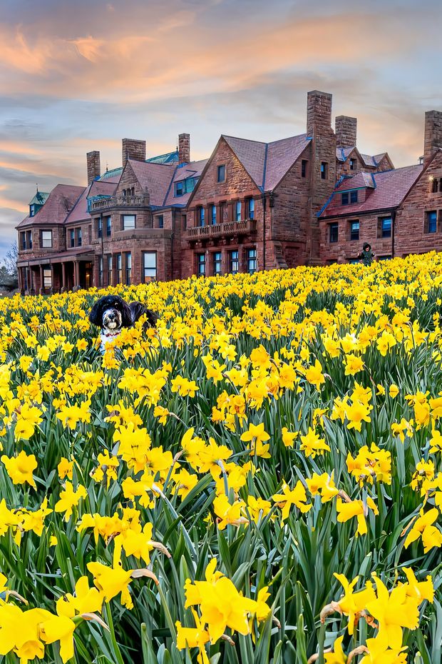 13 Elegant Things to Do in Newport Rhode Island for a Luxurious Escape