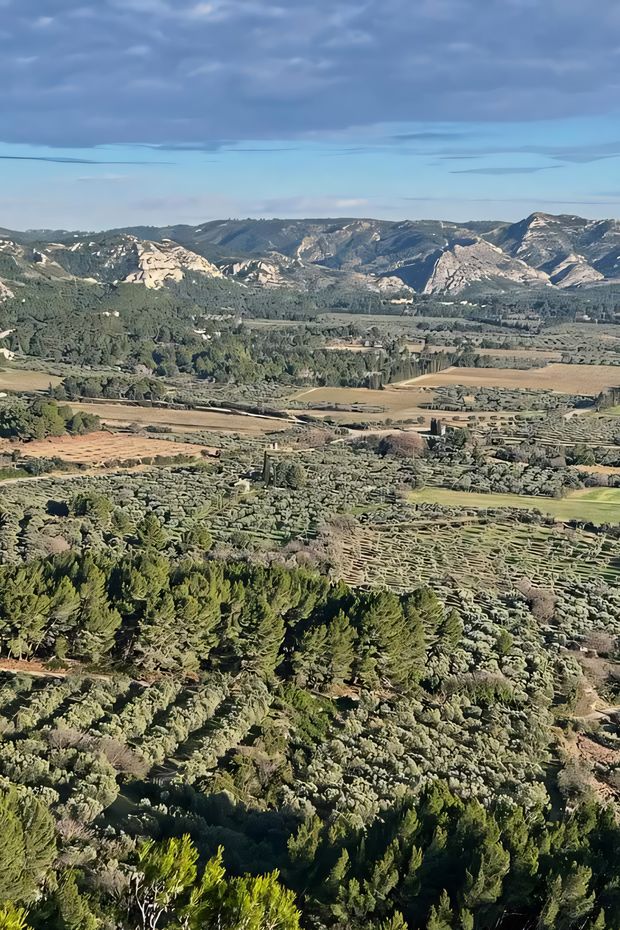 13 Enchanting Things to Do in Provence France for a Dreamy Countryside Escape