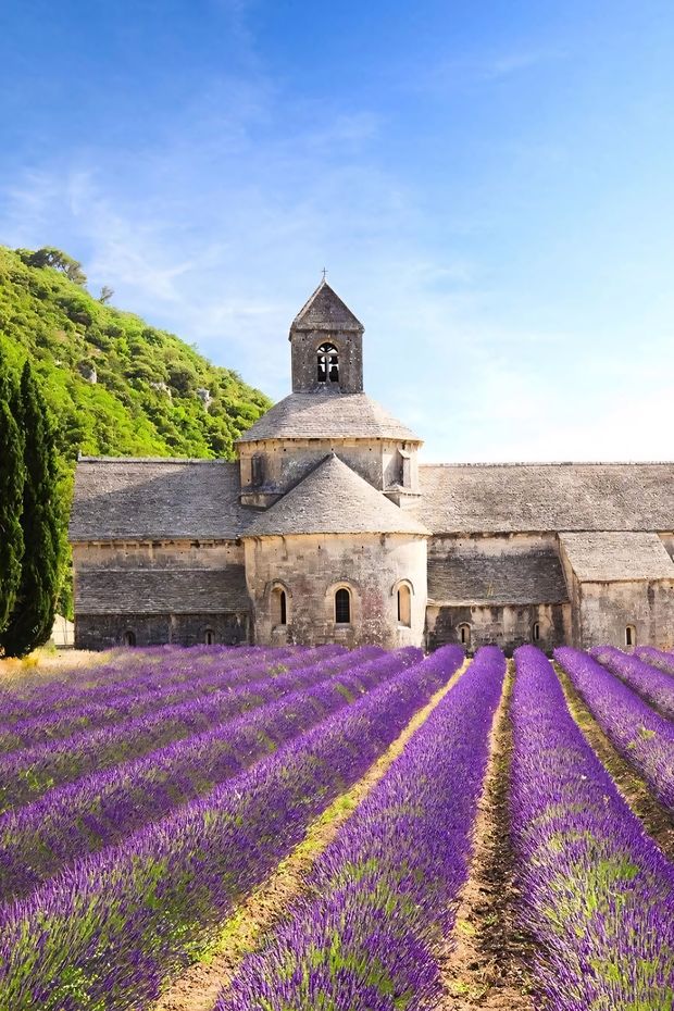 13 Enchanting Things to Do in Provence France for a Dreamy Countryside Escape