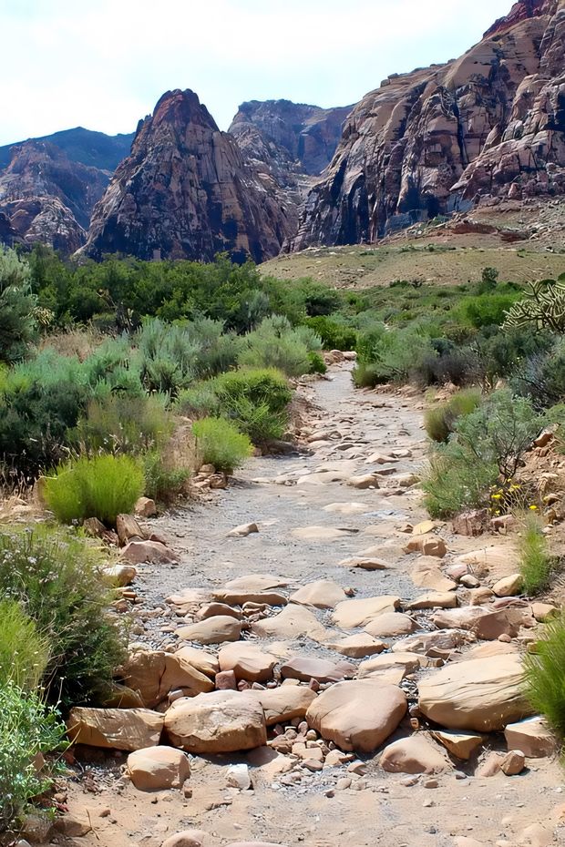 15 Exciting Things to Do in Las Vegas for an Epic Getaway