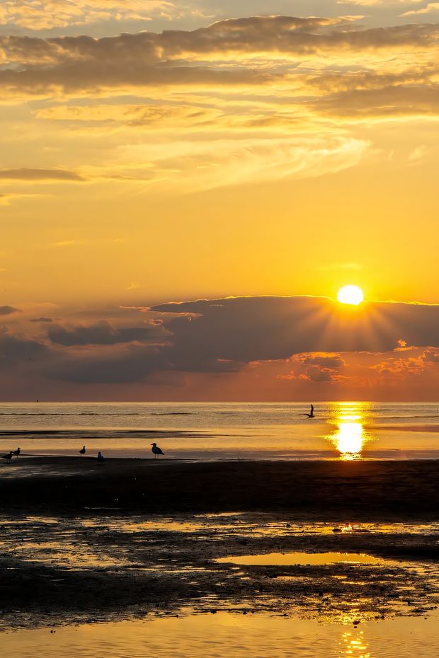 12 Fun Things to Do in Boston Summer for the Perfect New England Vacation