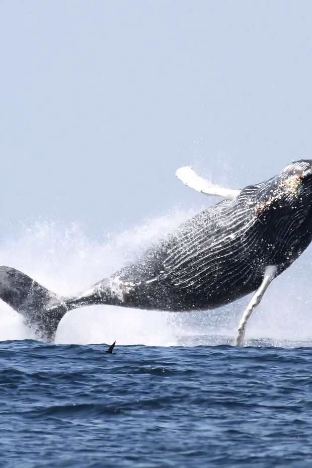 12 Fun Things to Do in Boston Summer for the Perfect New England Vacation