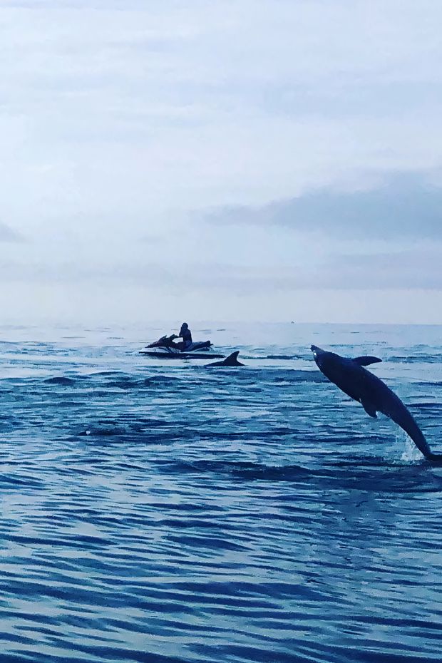 12 Fun Things to Do in Myrtle Beach for an Amazing Family Vacation