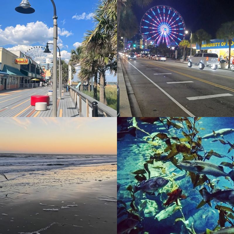 Fun things to do in myrtle beach family