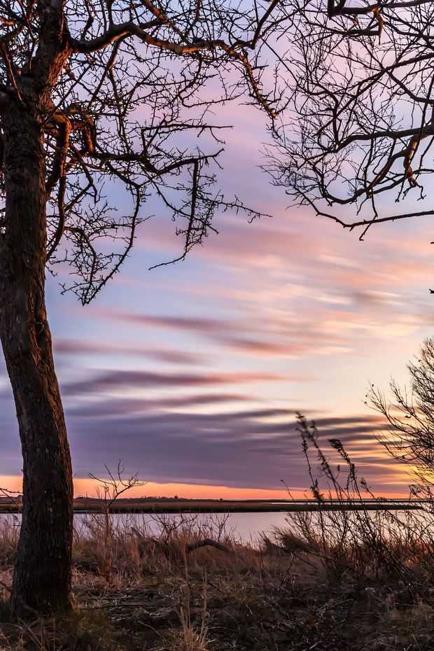 12 Fun Things to Do in Ocean City Maryland for the Ultimate Beach Vacation