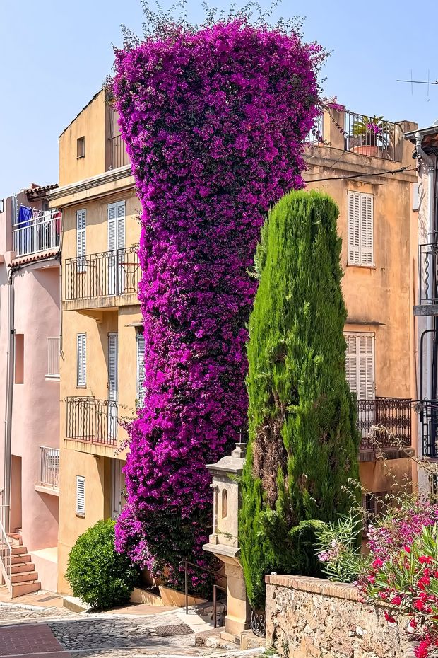 13 Glamorous Things to Do in Cannes for an Unforgettable French Riviera Trip