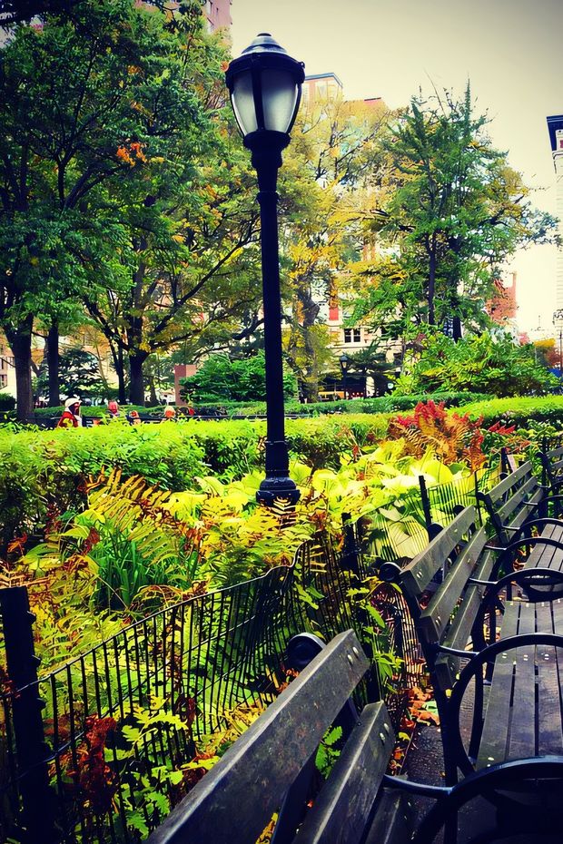 13 Gorgeous Things to Do in New York Chinatown for a Perfect City Adventure