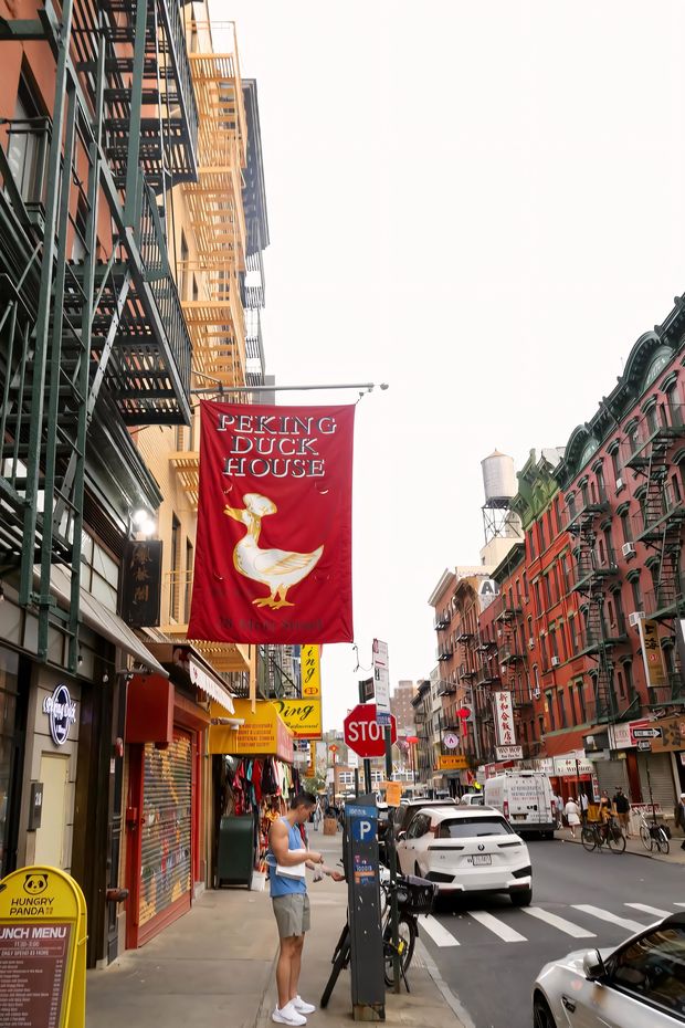 13 Gorgeous Things to Do in New York Chinatown for a Perfect City Adventure