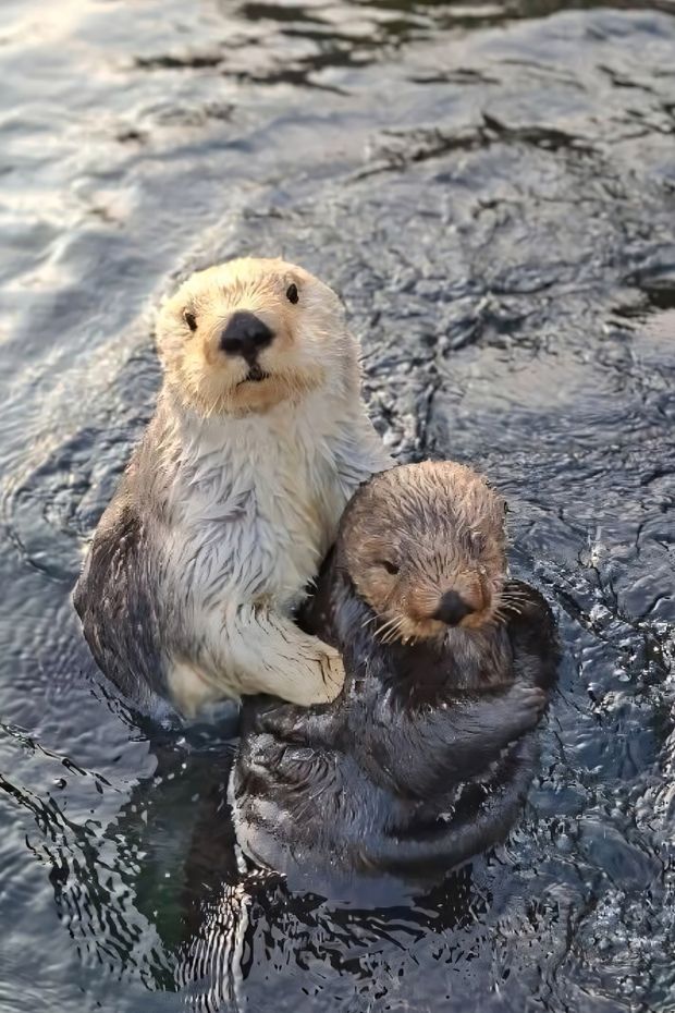 14 Incredible Things to See on an Alaska Cruise for a Once-in-a-Lifetime Adventure