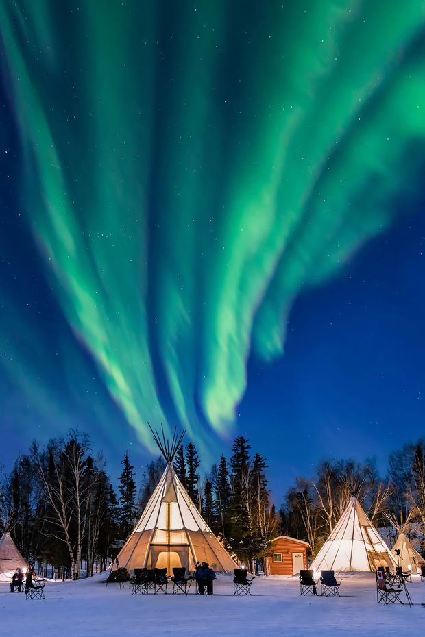 14 Incredible Things to See on an Alaska Cruise for a Once-in-a-Lifetime Adventure