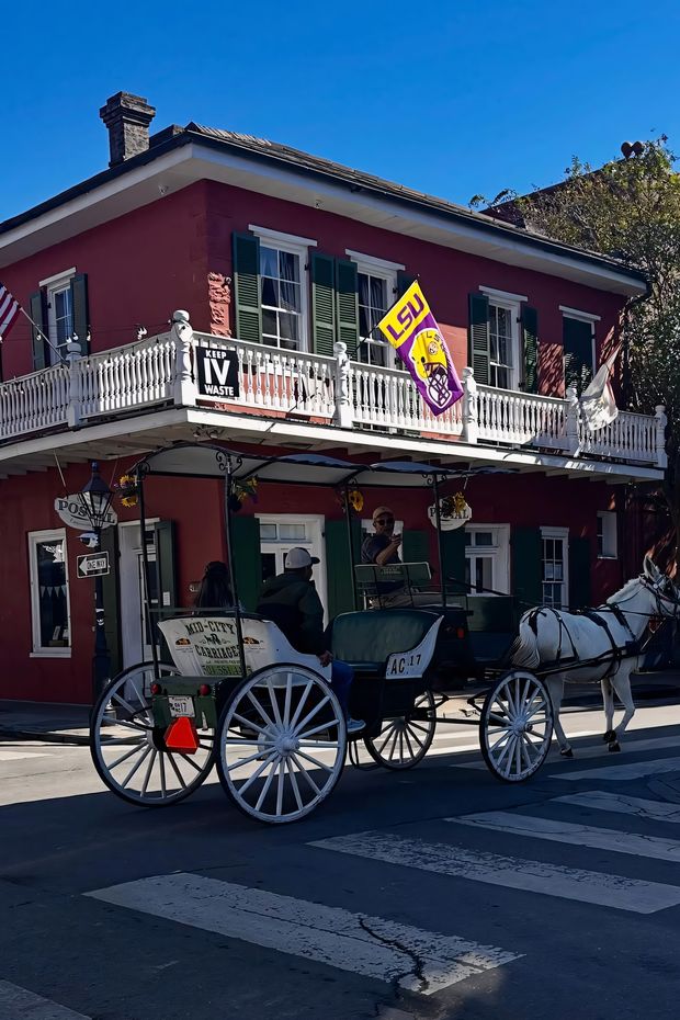 14 Lively Things to Do in New Orleans for a Vibrant Southern City Experience