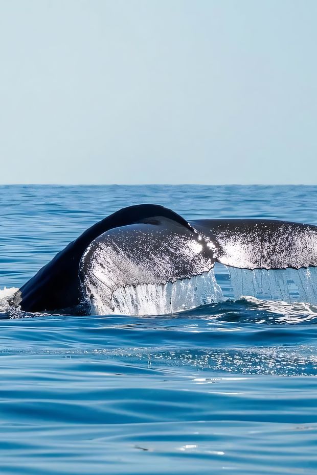 11 Quaint Things to Do in Kennebunkport Maine for a Charming New England Trip