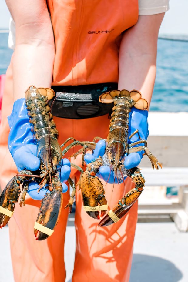 11 Quaint Things to Do in Kennebunkport Maine for a Charming New England Trip