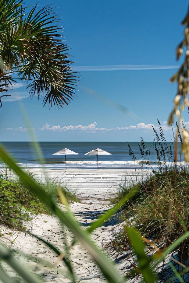 13 Relaxing Things to Do in Hilton Head Island for a Perfect Southern Getaway