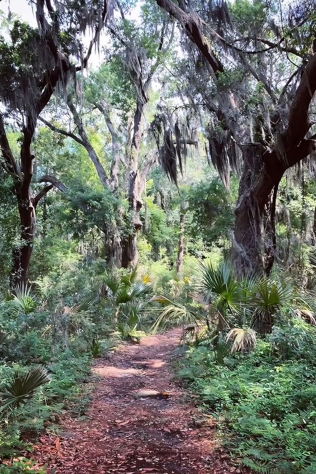 13 Relaxing Things to Do in Hilton Head Island for a Perfect Southern Getaway