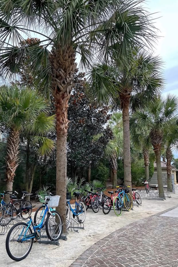 13 Relaxing Things to Do in Hilton Head Island for a Perfect Southern Getaway