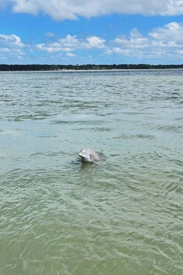 13 Relaxing Things to Do in Hilton Head Island for a Perfect Southern Getaway