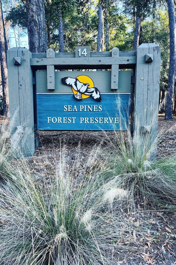 13 Relaxing Things to Do in Hilton Head Island for a Perfect Southern Getaway