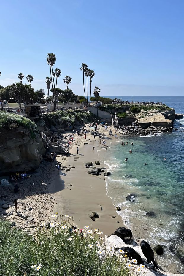13 Sunny Things to Do in San Diego for the Perfect California Coastal Vacation