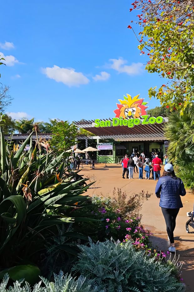 13 Sunny Things to Do in San Diego for the Perfect California Coastal Vacation