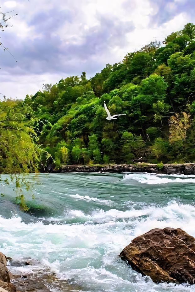 11 Awe-Inspiring Things to Do at Niagara Falls for a Bucket-List Trip