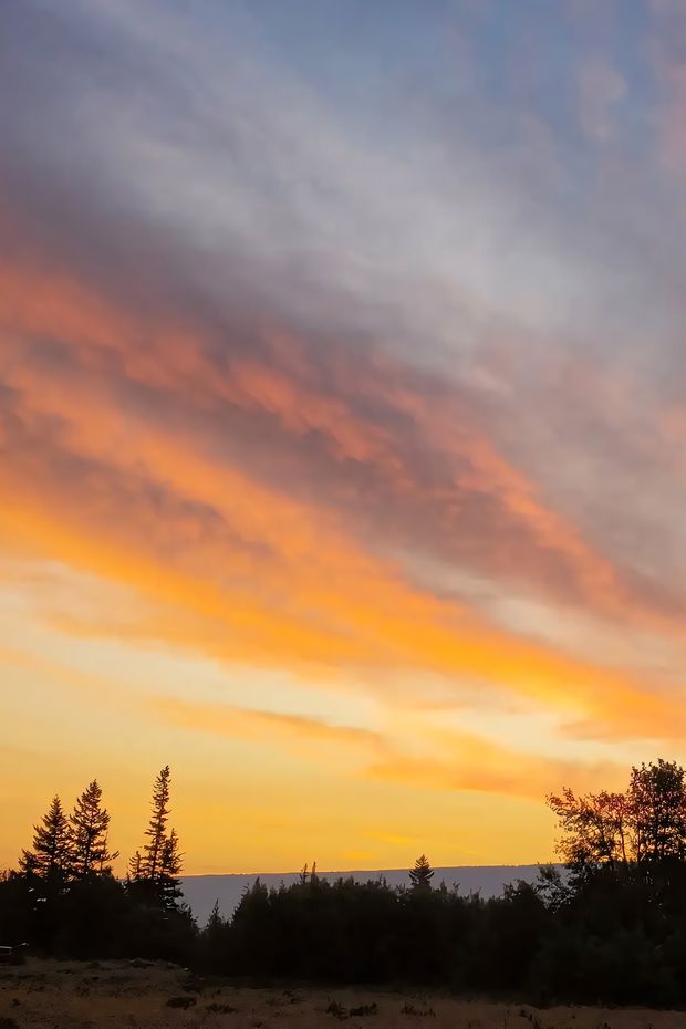 13 Stunning Things to Do in Glacier National Park Montana for Nature Lovers