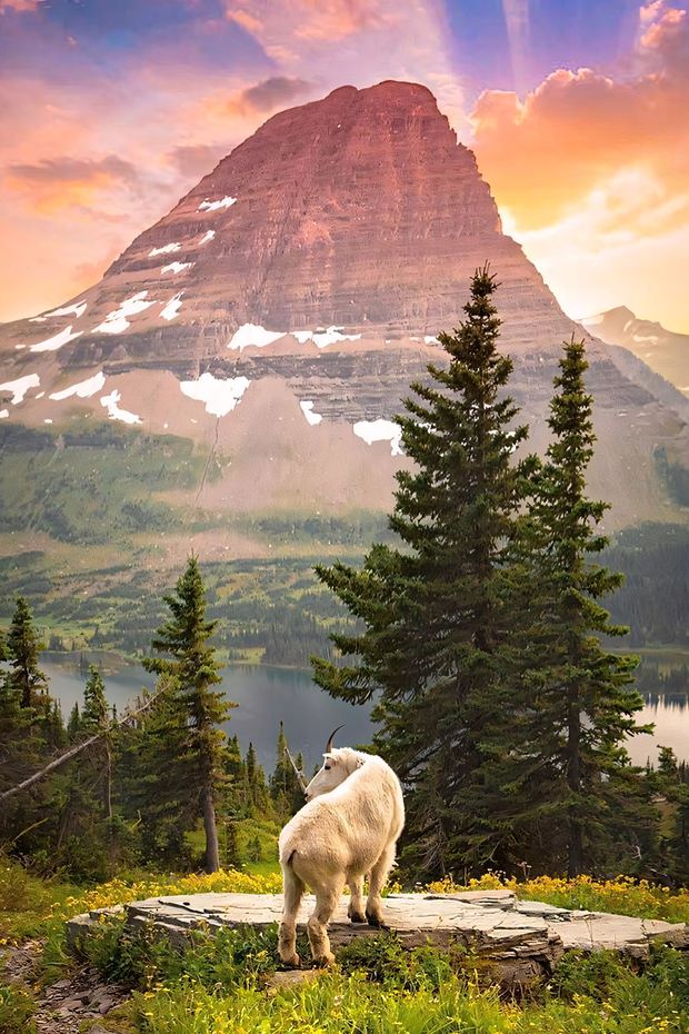 13 Stunning Things to Do in Glacier National Park Montana for Nature Lovers