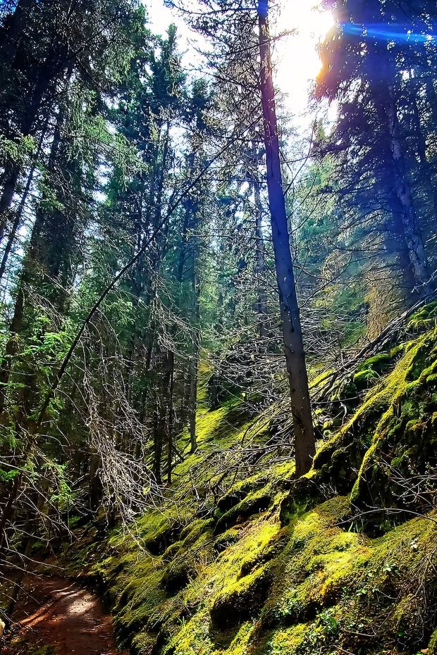 13 Stunning Things to Do in Glacier National Park Montana for Nature Lovers