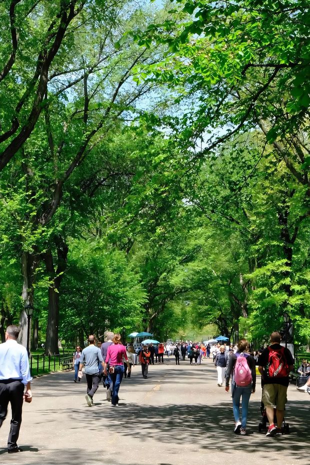 12 Scenic Things to Do in New York Central Park for a Relaxing Day Out